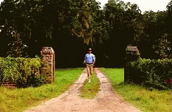 Leaving Forrest Gump GIF - Leaving Forrest Gump Run Away GIFs