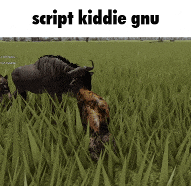two animals grazing in a field with the words script kiddie gnu above them