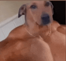 a dog with a chain around its neck is sitting on top of a man 's chest .
