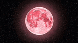 a pink full moon is rising in the night sky surrounded by stars .