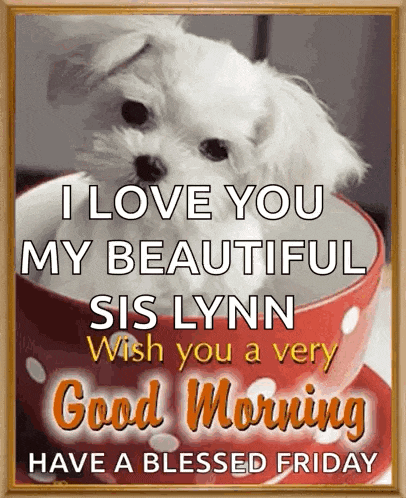 a picture of a puppy in a cup with the words i love you my beautiful sis lynn