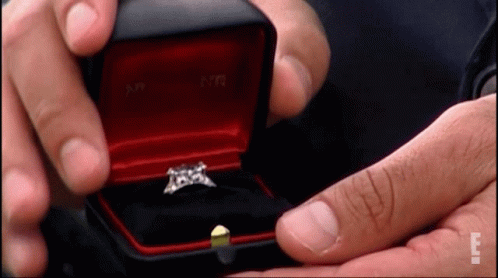 Proposal Ring For Real The Story Of Reality Tv GIF - Proposal Ring For Real The Story Of Reality Tv Will You Marry Me GIFs