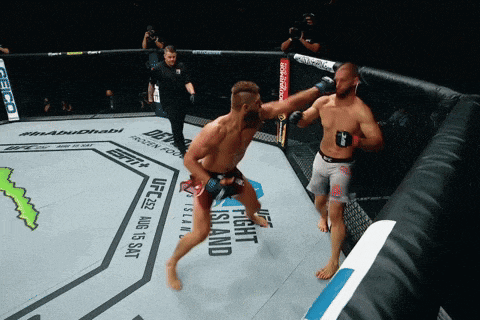 two men are fighting in a boxing ring that says ufc on it