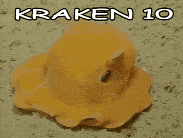 a picture of a kraken with the number 10 on it