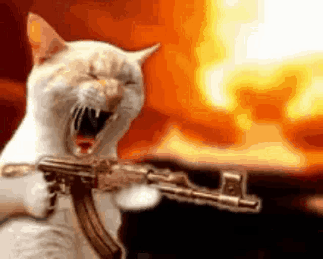 a cat with its mouth open is holding a gun in front of flames