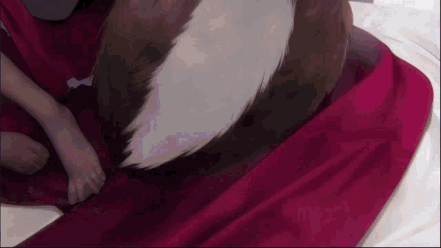 a person is laying on a bed with a stuffed animal behind them .