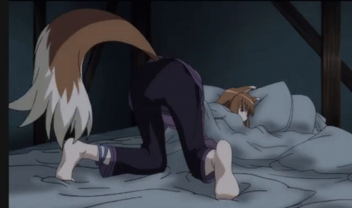 Spice And Wolf Horo GIF - Spice And Wolf Horo Anime GIFs