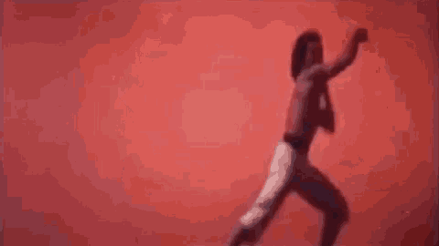 The Thundering Mantis Martial Arts GIF - The Thundering Mantis Martial Arts GIFs