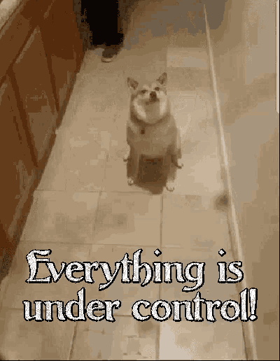 Under Control Everything Is Under Control GIF - Under Control Everything Is Under Control Trust Me GIFs