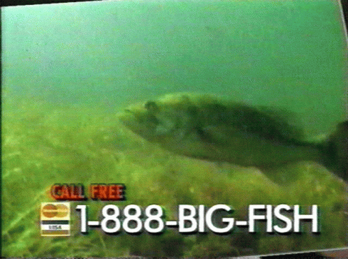 Big Fish Fish GIF - Big Fish Fish Big GIFs
