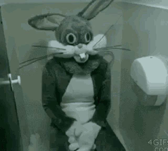 Väiski Bunny GIF - Väiski Bunny Toilet GIFs