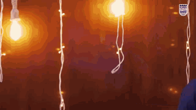 a person is standing in front of a wall with christmas lights hanging from it