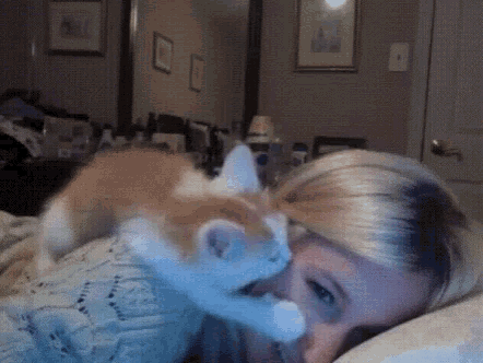 Cat Kiss GIF - Cat Kiss Feline GIFs