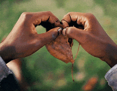 a person is making a heart shape with their hands and a leaf