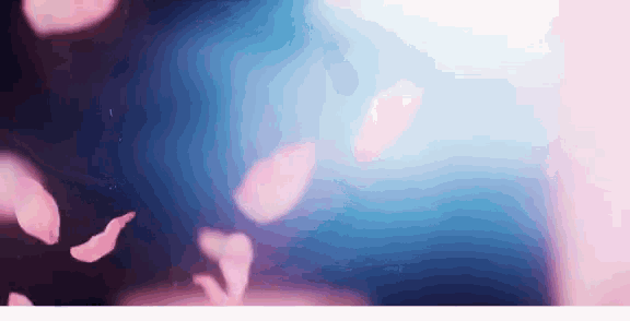 pink petals are falling from a cherry blossom tree on a blue and pink background .