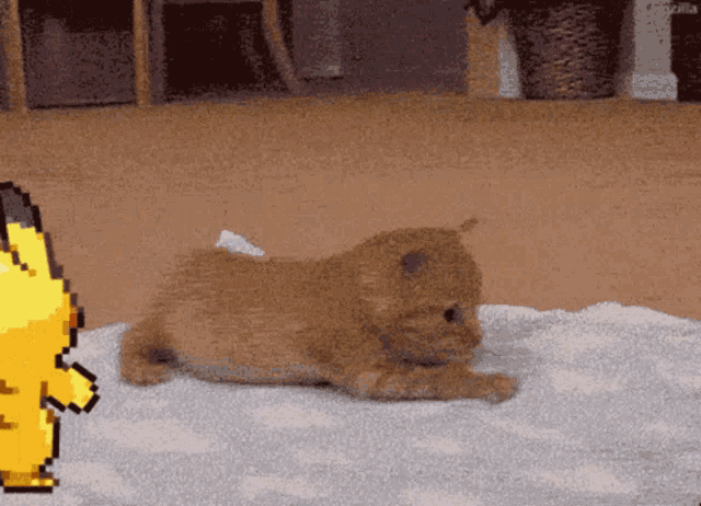 a pixel art of a cat and pikachu