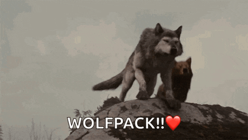 a couple of wolves standing on top of a rock with the word wolfpack written below them