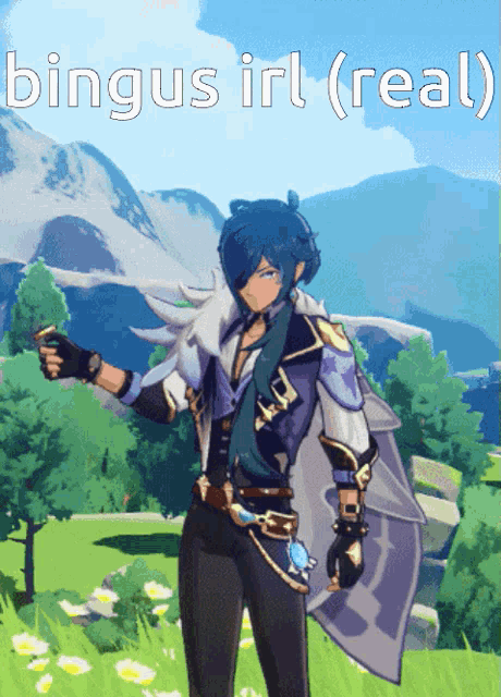 a picture of a video game character with the words " bingus irl ( real ) " above him