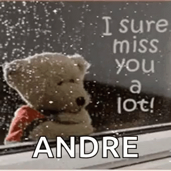 I Sure Miss You A Lot Andre GIF - I Sure Miss You A Lot Andre Bear GIFs