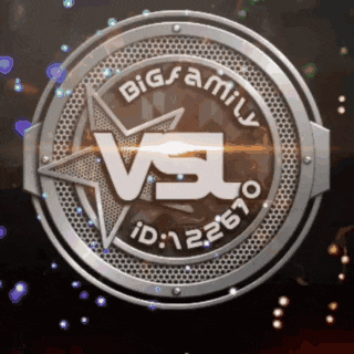 a big family vsl logo with a star in the middle