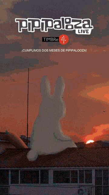 a poster for pippalaza live shows a woman