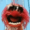 Animal Muppets GIF - Animal Muppets Laugh GIFs