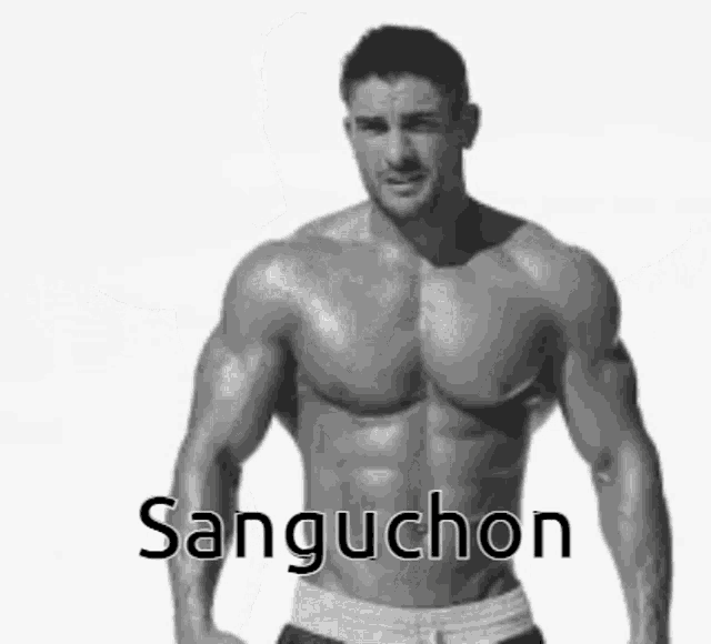 a shirtless man is standing in front of a white background with the word sanguchon on it .