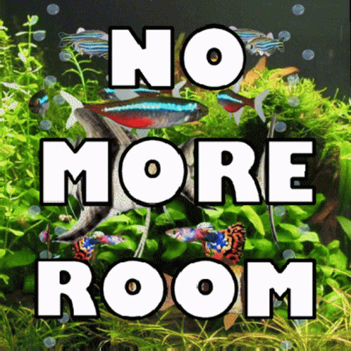 No More Room Crowded GIF - No More Room Crowded Crowds GIFs