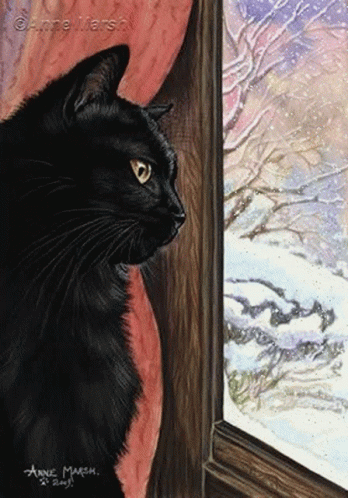 Snow Cat Black Cat GIF - Snow Cat Black Cat GIFs