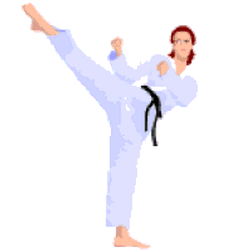 Karate Karate Girl GIF - Karate Karate Girl Karate Moves GIFs