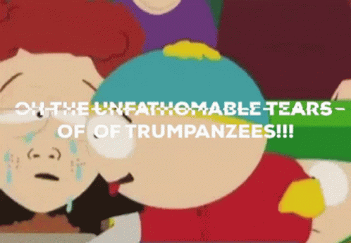 Trump Politics GIF - Trump Politics South Park GIFs