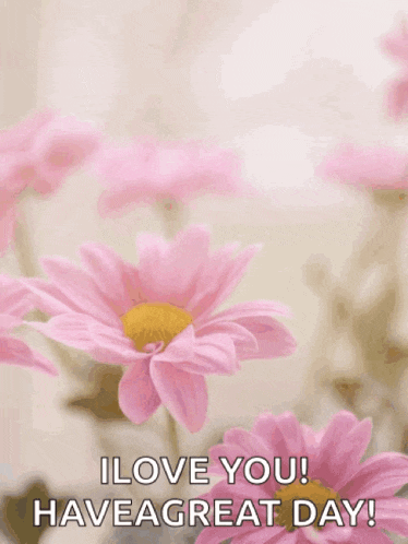 a mother 's day card with pink flowers and the words happy mother 's day i love you have a great day