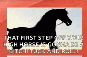 Horse First Step GIF - Horse First Step GIFs