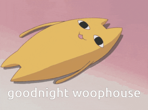 a cartoon cat is laying down with the words goodnight woophouse written below it