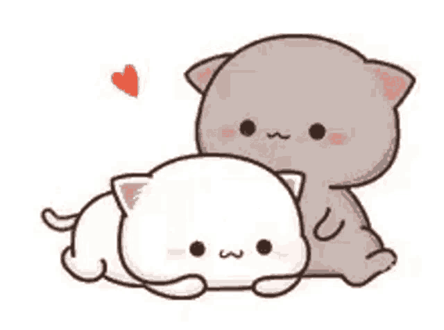a couple of cats are hugging each other with a heart .
