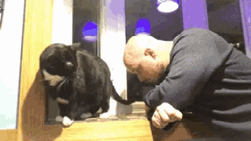 a man is petting a cat that is looking through a window