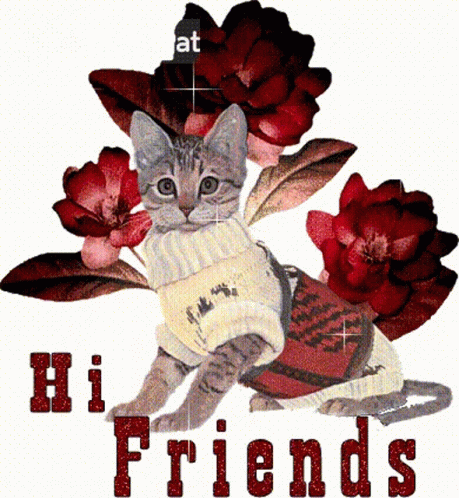 Hi Friends Hi GIF - Hi Friends Hi Hello GIFs
