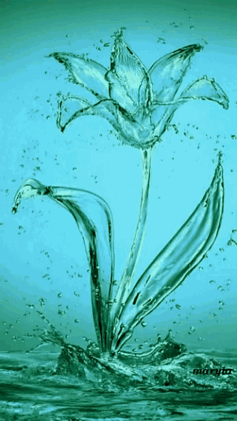 a painting of a flower made out of water with the word marja on the bottom