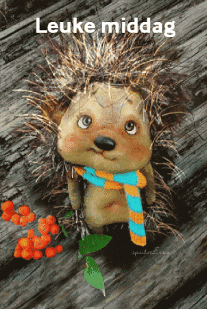 a picture of a stuffed hedgehog with the words leuke middag written below it