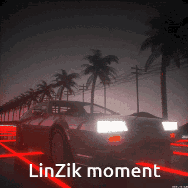a car is driving down a road with palm trees in the background and the caption linzik moment