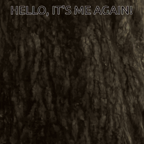 a close up of a tree with the words hello it 's me again