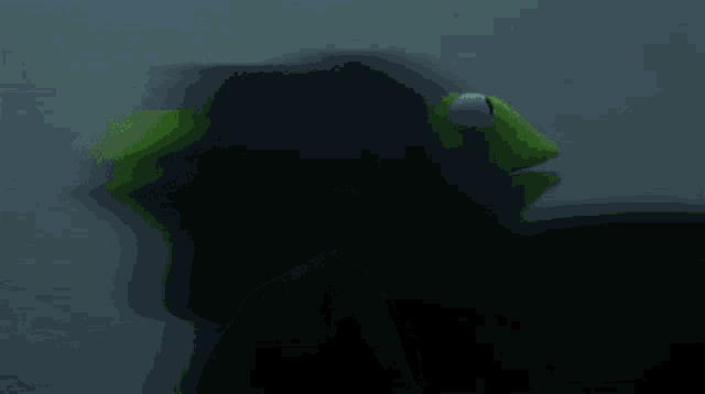kermit the frog is wearing a black hooded jacket