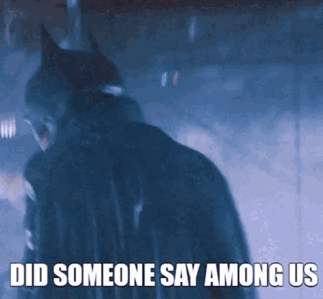 a man in a batman costume is standing in the rain and saying `` did someone say among us '' .