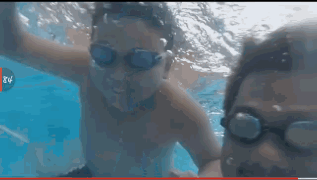 Swimming GIF - Swimming GIFs