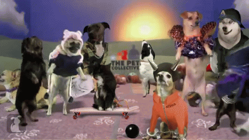 Get It On In The Harlem Shake GIF - Funny Cute Harlem GIFs