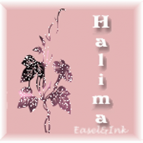 Halima GIF - Halima GIFs