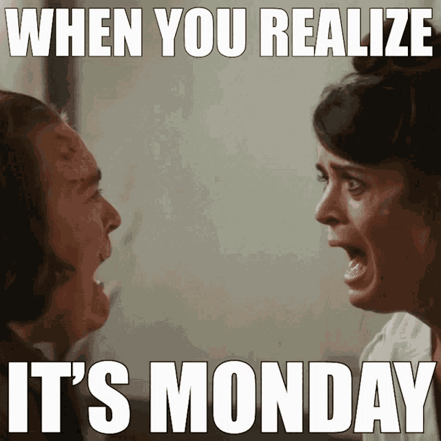a meme that says when you realize it 's monday with two people screaming