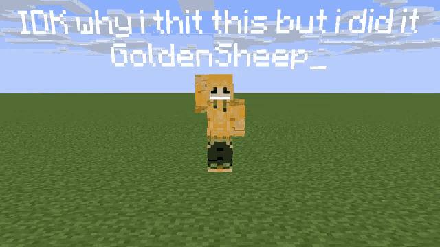 a screenshot of a minecraft character with the words " idk why i thit this but i did it golden sheep "