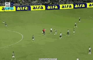a soccer game is being played on a field with advertisements for alfa on the sidelines