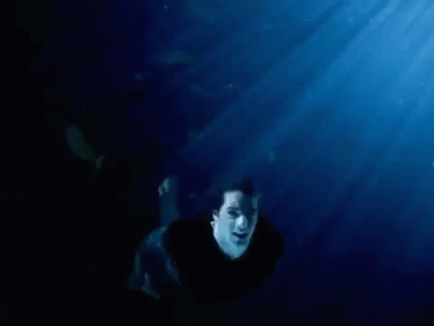 Swimming Fishes GIF - Swimming Fishes Water GIFs